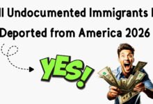 Will Undocumented Immigrants Be Deported from America 2026