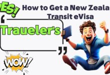 How to Get a New Zealand Transit eVisa – A Traveler's Personal Guide