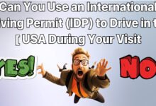 Can You Use an International Driving Permit (IDP) to Drive in the USA During Your Visit ?