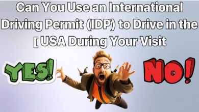Can You Use an International Driving Permit (IDP) to Drive in the USA During Your Visit ?
