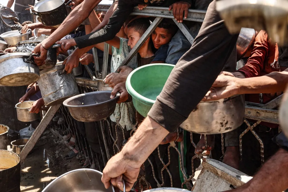 Malnutrition has reached "levels of risk" in Gaza
Arabausa