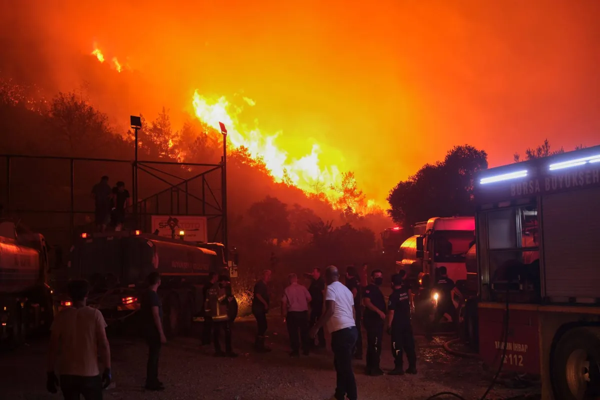 Forest fires are close to the fourth largest city in the country
Arabausa