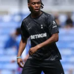 Tottenham awaits the absence of udougi and takai after their injury
 arabausa