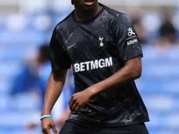 Tottenham awaits the absence of udougi and takai after their injury
 arabausa
