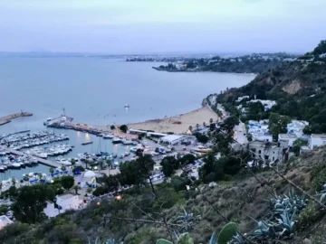 What are the benefits of living near the seas? Arabausa