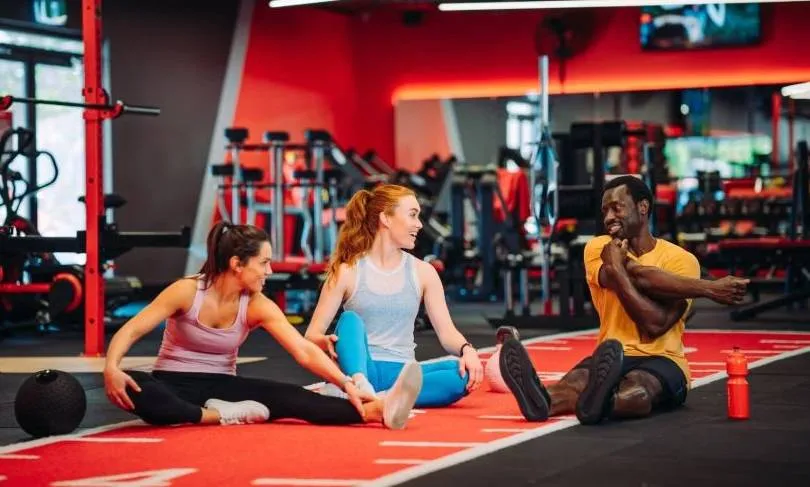 The most "recommendations of the most" installed in the scientific way in exercise in 2025
Arabausa