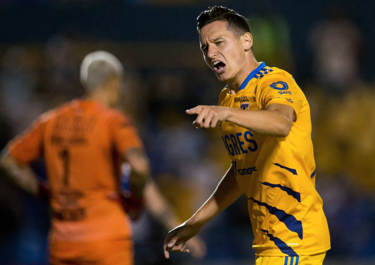 Lance announces the inclusion of tofan from Udinese
Arabausa