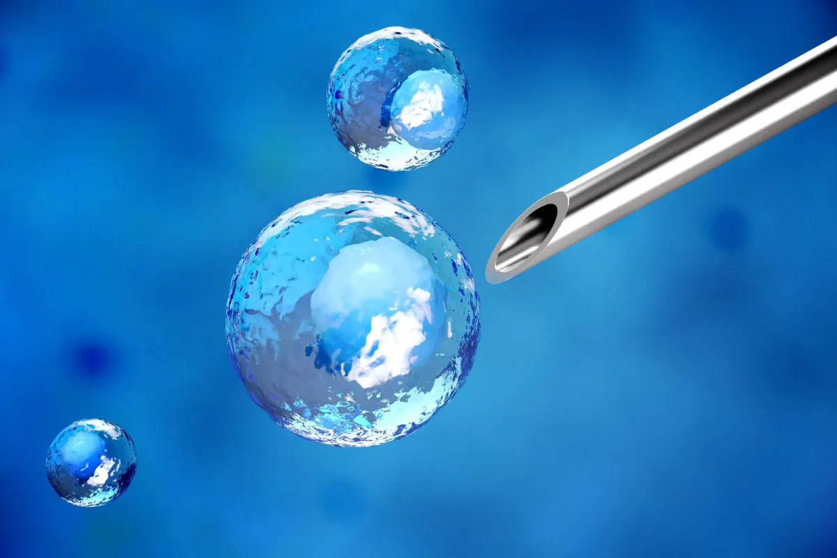 The cell therapy states the hopes for the hidden with brain damage
Arabausa