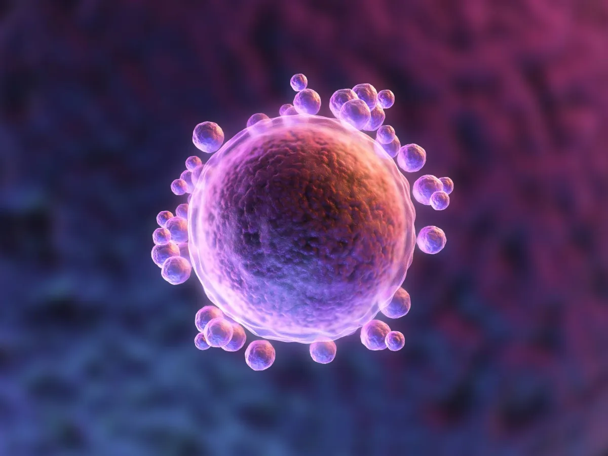 Human egg cell protect themselves from the genetic mutation of age
Arabausa