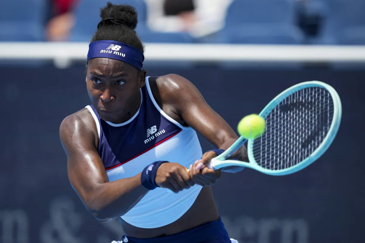 "Cinemenati course": Go to Final price
Arabausa