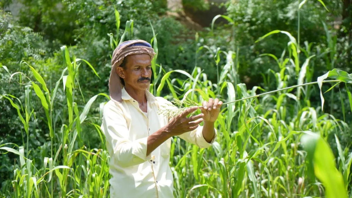The warning of flooding and double in yemen
Arabausa