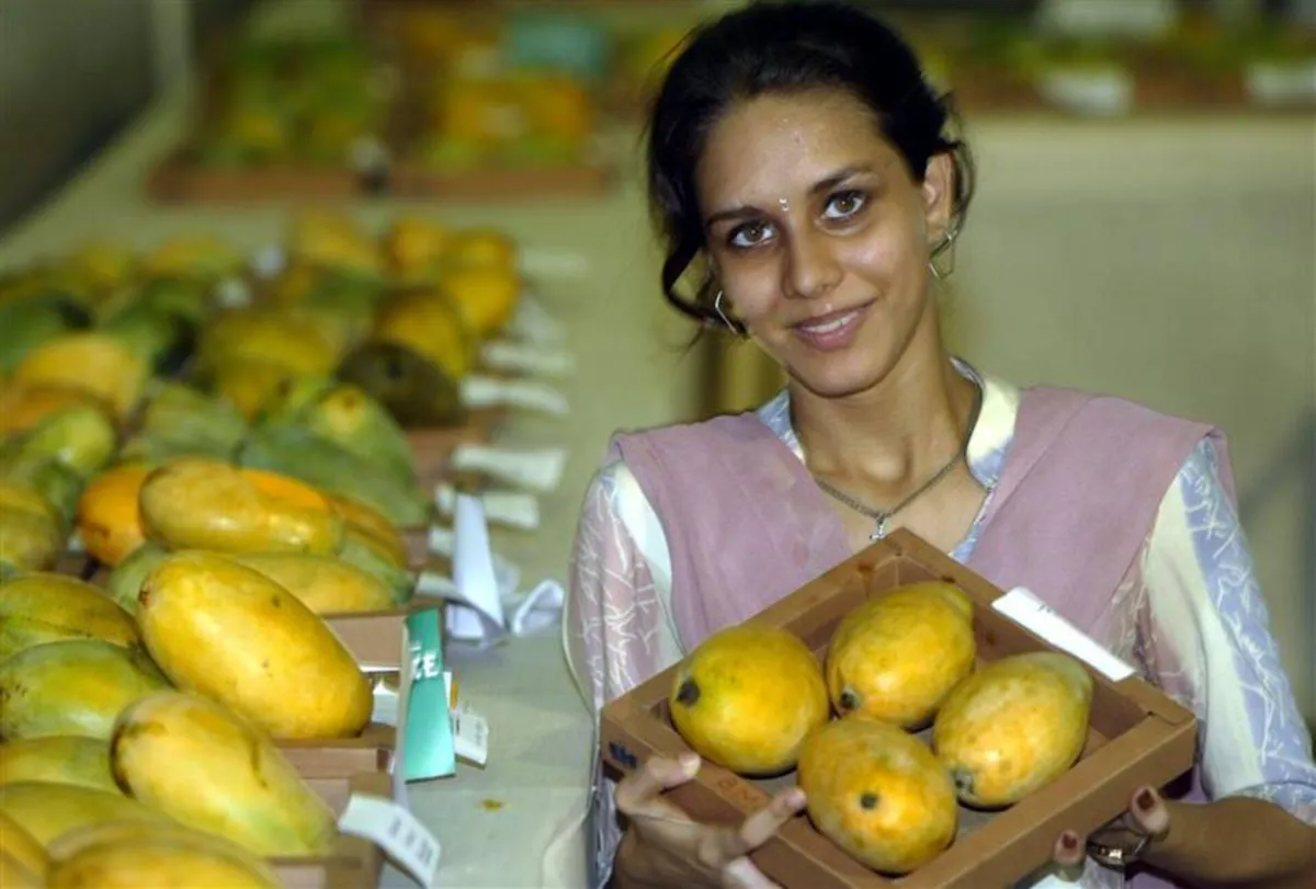 Is Mango Useful for Diabetics? Studies tell the prevailing belief
Arabausa