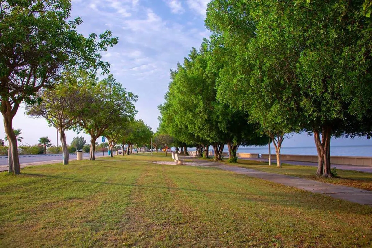 Eastern region realizes a stance of planting 31 million in Arabian Saudi Arabia "
Arabausa