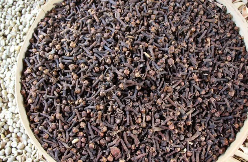 6 health benefits for cloves
Arabausa