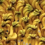 7 foods that should be avoided when taking the medications of the heart

 Arabausa