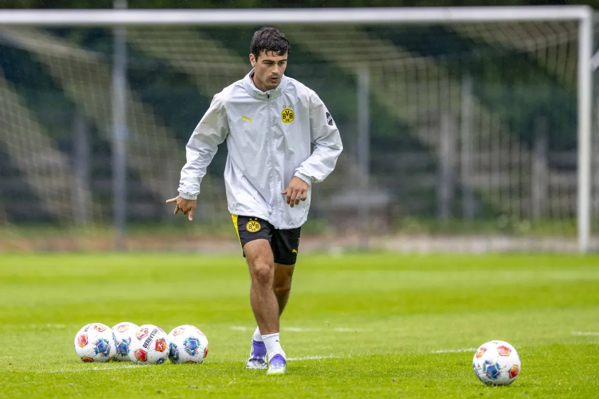 American Reine moves to MonchendDadbach by Dortmund
Arabausa