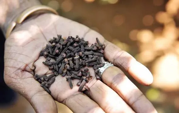 What happens to the blood sugar when you drink the area water?
Arabausa