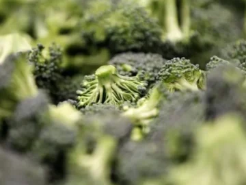 Eating certain types of vegetables reduce colon cancer risk

 Arabausa