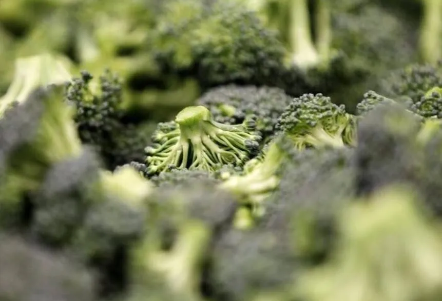 Eating certain types of vegetables reduce colon cancer risk
Arabausa