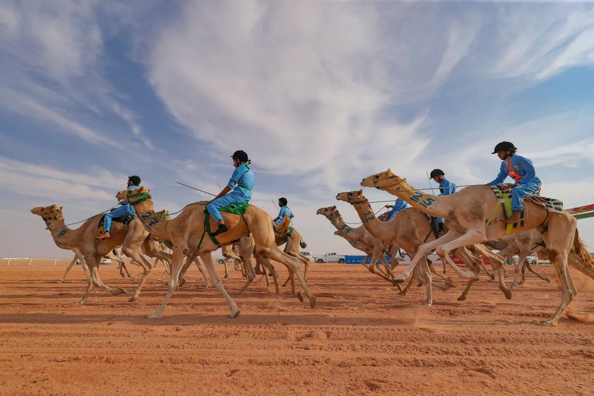 249 runs ... and prizes of 50 million rolls
Arabausa