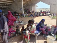 46 people are dead because of malnutrition in the state of the southern pair of July and August

 Arabausa