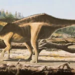 A sail 125 -Million -year -Ear is a million 125

 Arabausa