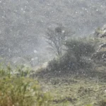 "Asir" deposits summer in August

 Arabausa