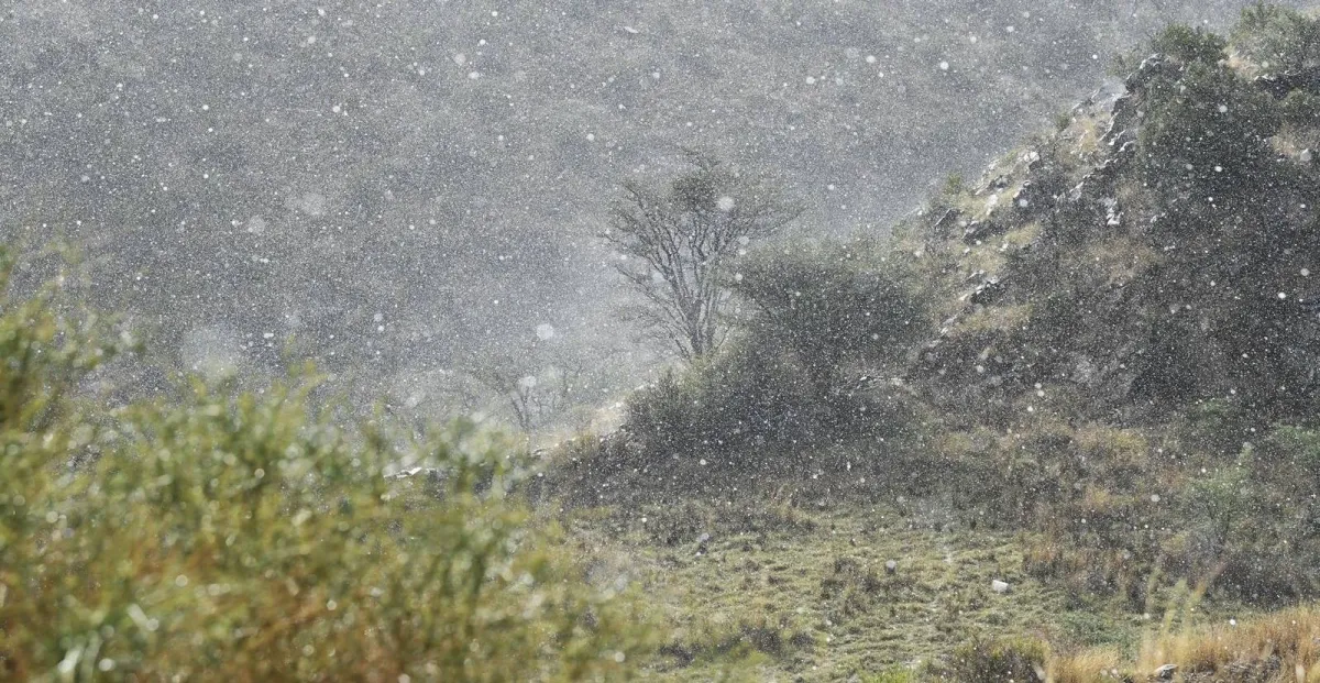 "Asir" deposits summer in August
Arabausa