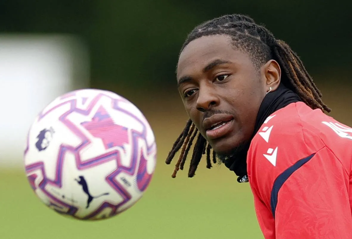 Easy and GoYei are essential in European attachment
Arabausa