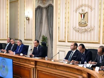 Egyptian's Egyptian's Egyptian critique for an increase envision in electricity prices

 Arabausa