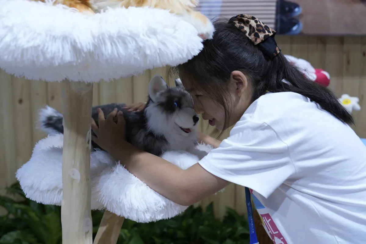 Factory products in China without expectations, we intend the fears
Arabausa