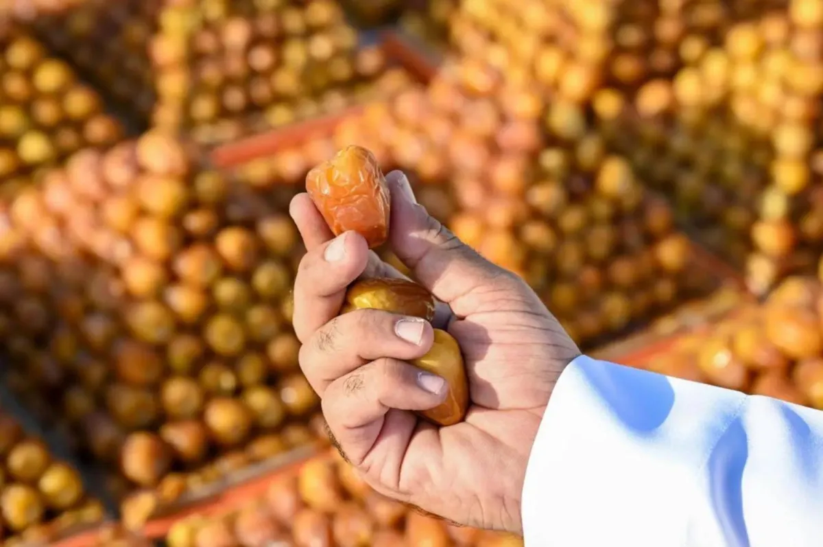 From the center of Saudi Arabia ... "Diplomacy" Diplomacy "is launched as the first global program to improve international cooperation
Arabausa