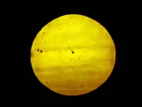 Giant Lonel Manks in Saudi Arabia North

 Arabausa