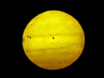 Giant Lonel Manks in Saudi Arabia North

 Arabausa