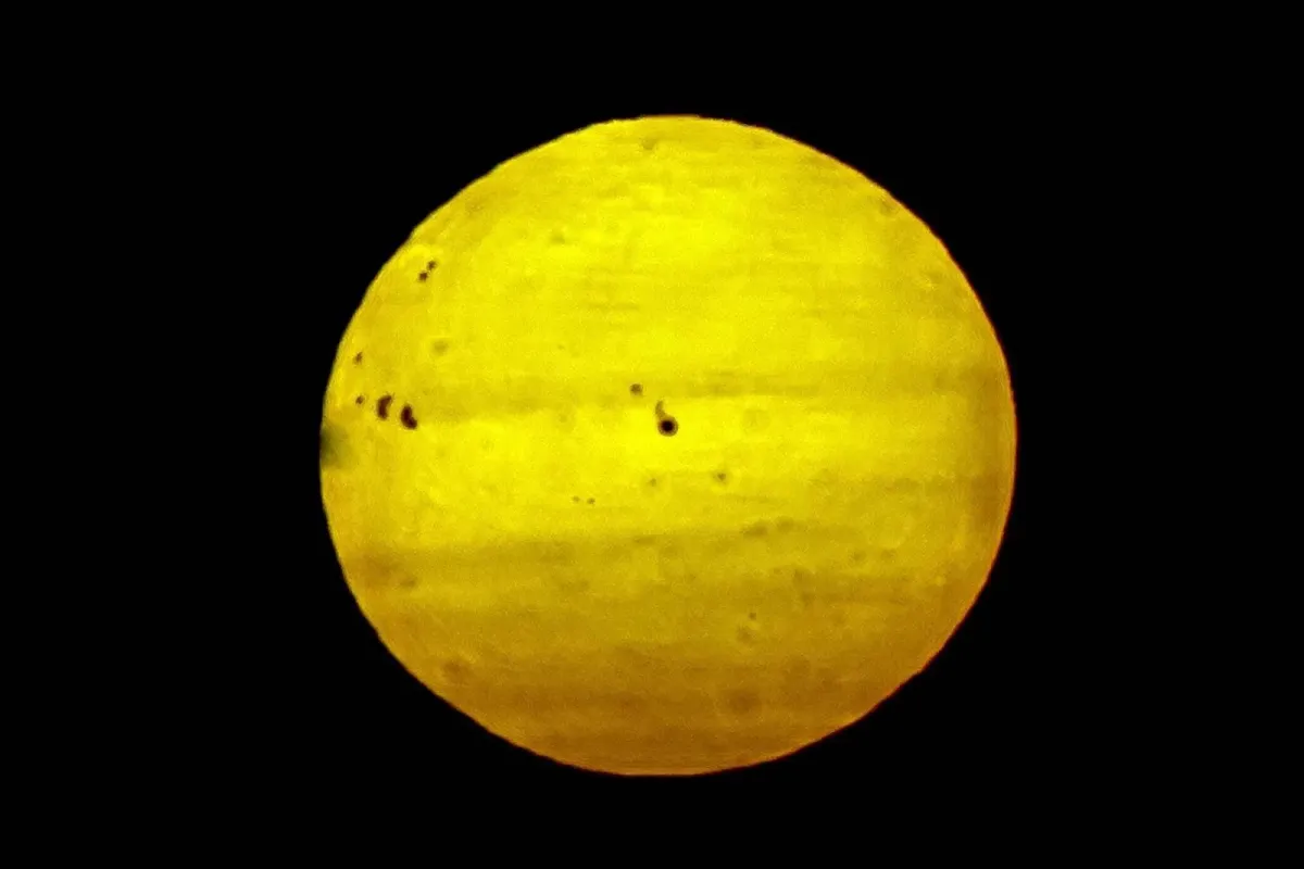 Giant Lonel Manks in Saudi Arabia North
Arabausa