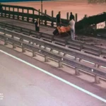 Hug a Ukrainian plan to detonate the cimeo bridge

 Arabausa