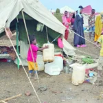 Hunger and disease threaten the sudanese are greater than battles

 Arabausa