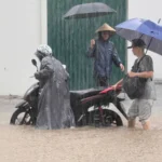 Hurricane Kajiki leads to 3 people's life in Vietnam and drown the capital

 Arabausa