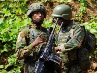 International pressure to stop increasing violence in the Eastern Cong

 Arabausa