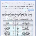 Iraqi remission investigating a new candidate batch

 Arabausa