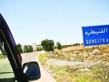 Israel are land lands of land in quiet country in south Syria

 Arabausa