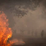 Spain Fire destroys registers of 343 thousand hectares this year

 Arabausa