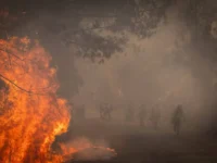 Spain Fire destroys registers of 343 thousand hectares this year

 Arabausa