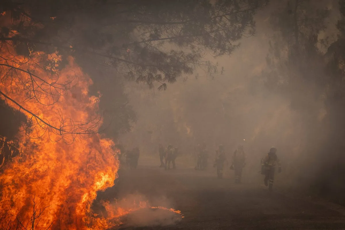 Spain Fire destroys registers of 343 thousand hectares this year

 Arabausa