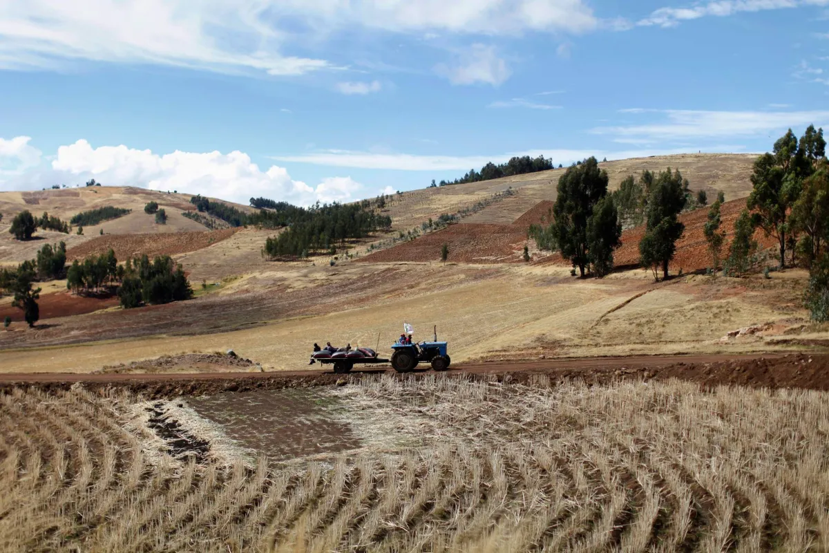 Suffer fatigue and exhaustion? Discover the benefits of the Herb Maca
Arabausa