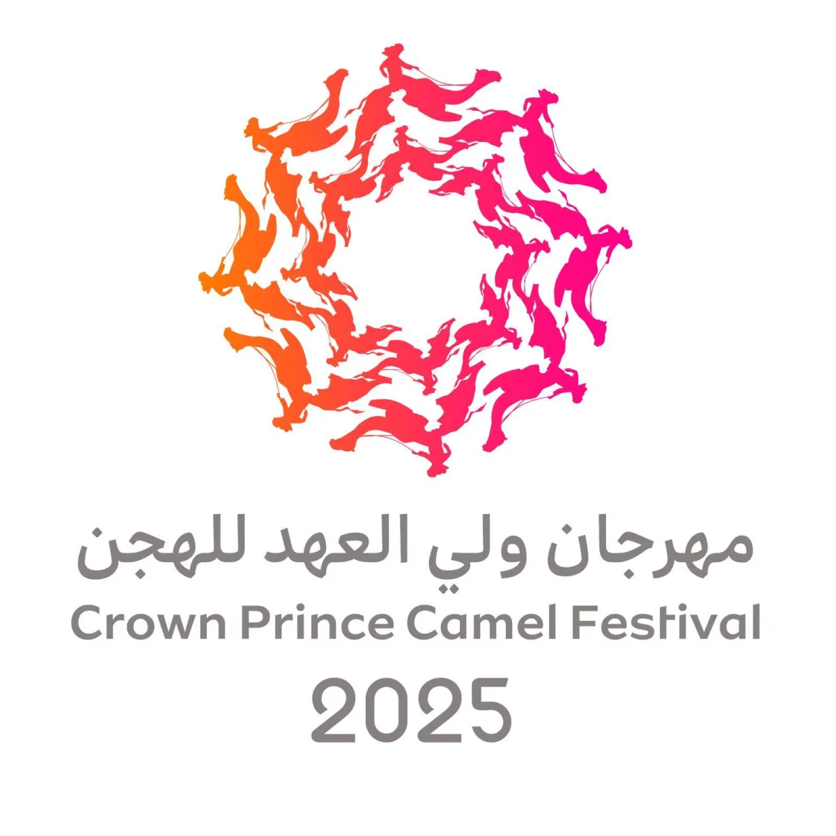 The Prince Camel's Prince Festival is prepared to clear the next September
Arabausa