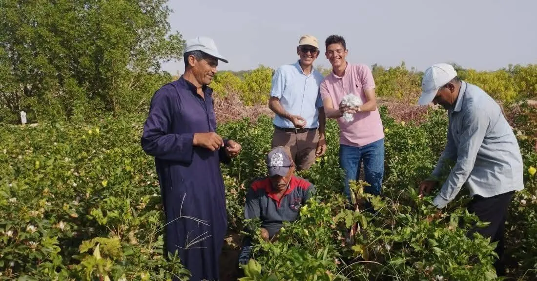 Unemployment fee decreases 6.1% in the second quarter of 2025
Arabausa