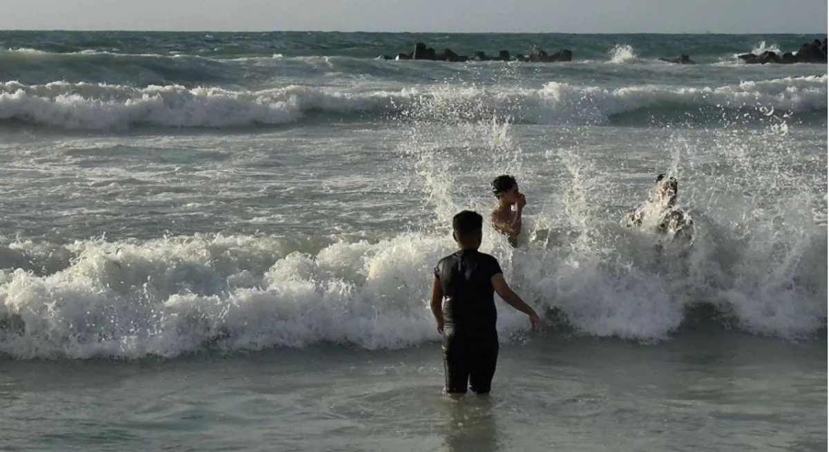 Why is the ocexandria west beaches swallowing the dozens of people?
Arabausa